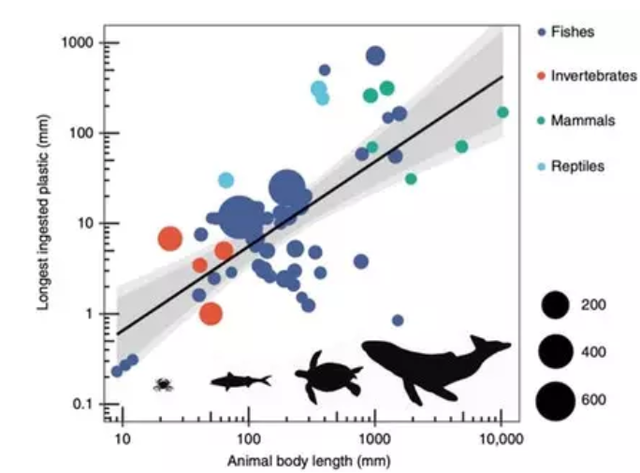 /ueditor/jsp/upload/image/20200331/1585615919655025467.jpg /ueditor/jsp/upload/image/20200331/1585615919655025467.jpg